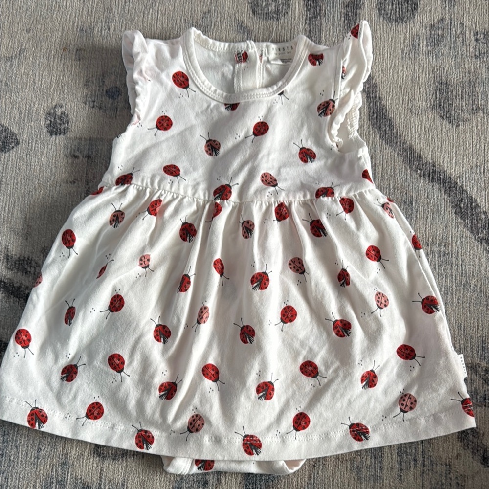 Ladybug Print Baby Dress